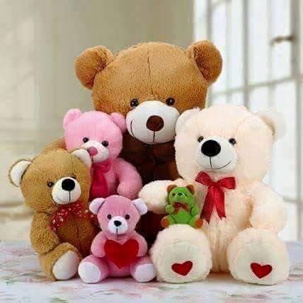 Teddy Bear: The Plush Stuff of Love and Comfort.